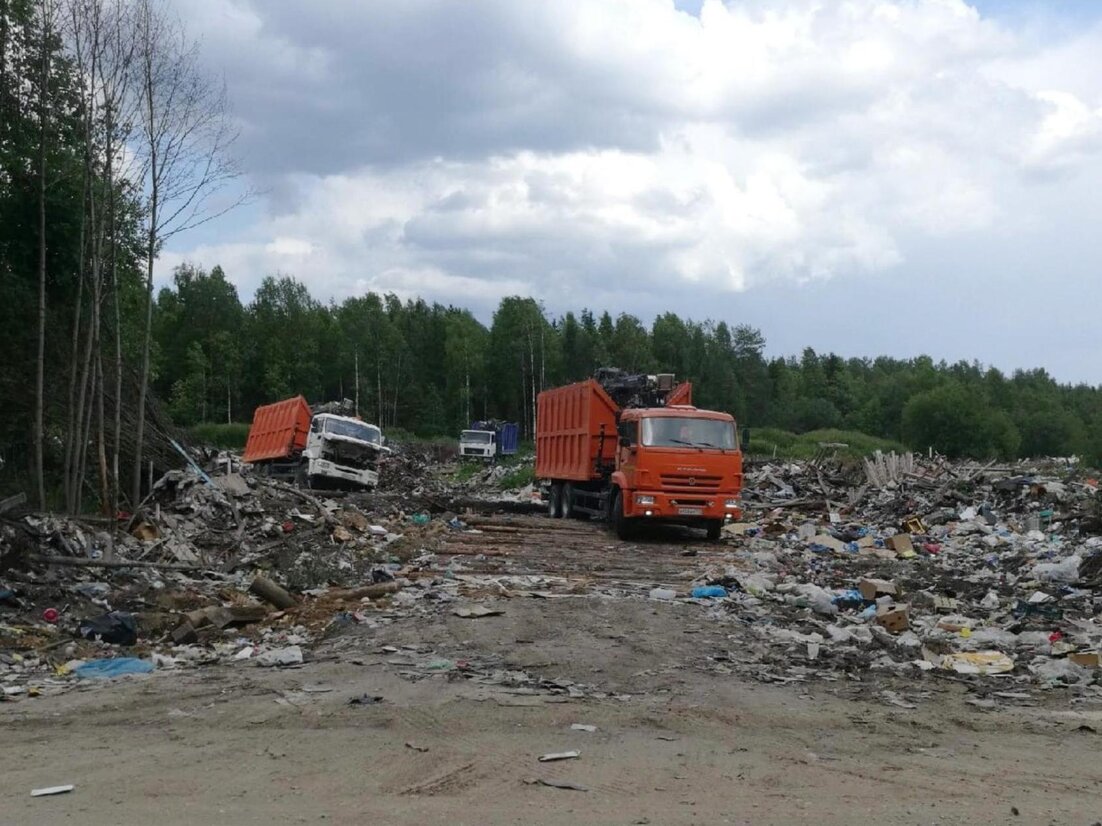 В Поморье водители мусоровозов выложили дорогу из бревен, чтобы выехать с  пункта временного накопления отходов