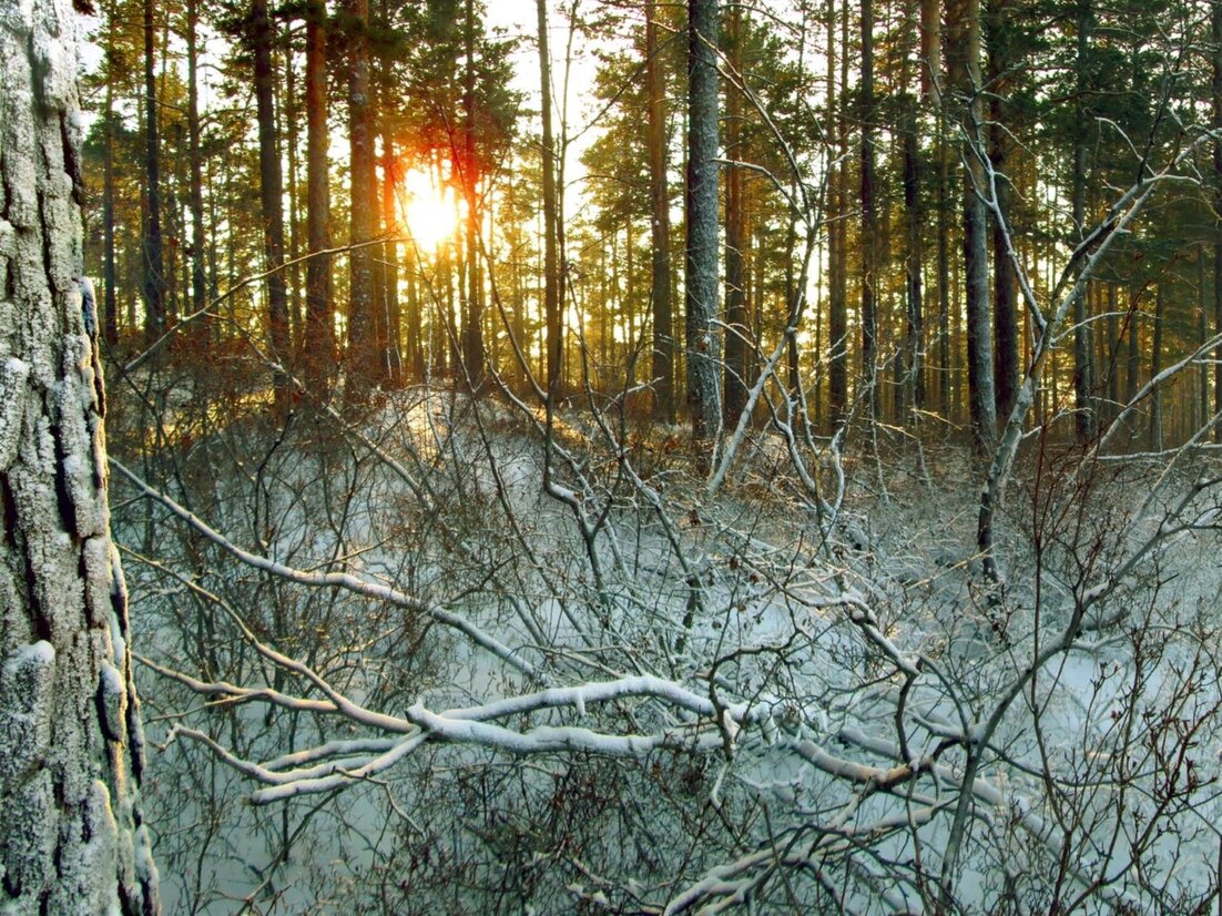 Погода село архангельское