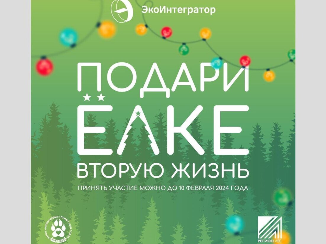 В Архангельске уже завтра стартует акция «Подари ёлке вторую жизнь»