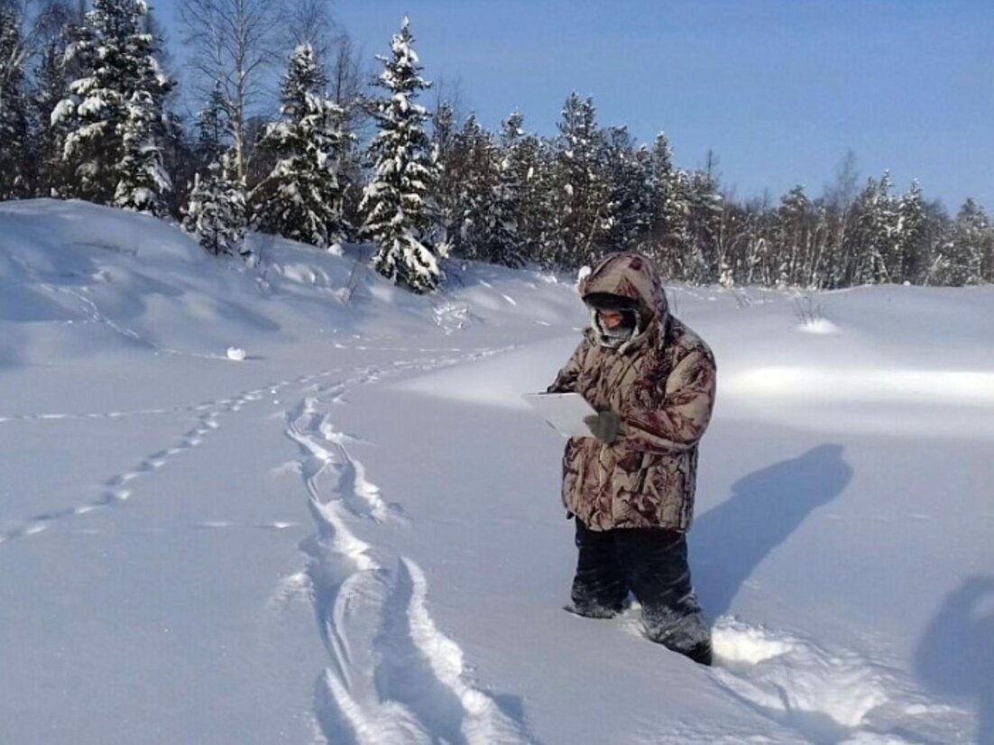 Отслеживание архангельск