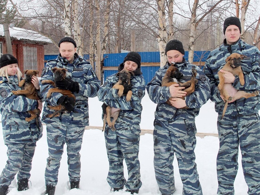 В Центр кинологической службы управления МВД по Архангельской области посту...