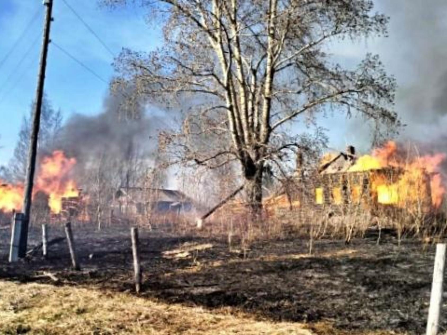 В Виноградовском округе огонь уничтожил три жилых дома