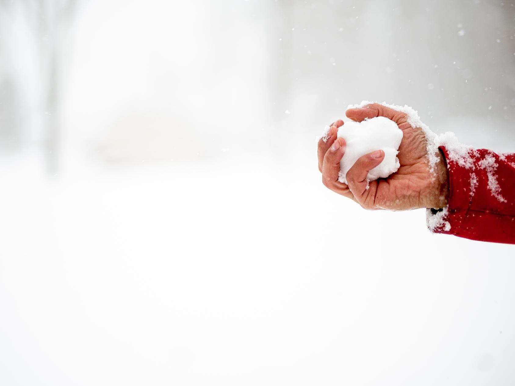 14 ноября в Архангельской области потеплеет до +5 градусов