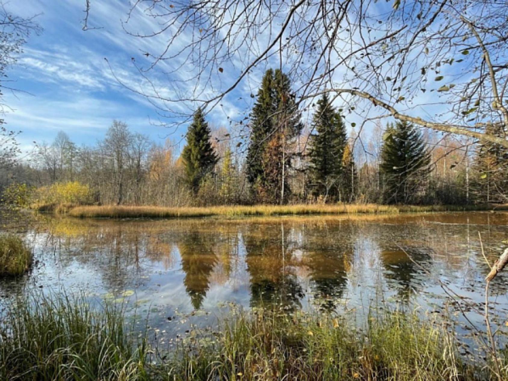 В Сольвычегодске и Коряжме презентуют проект новой экотропы