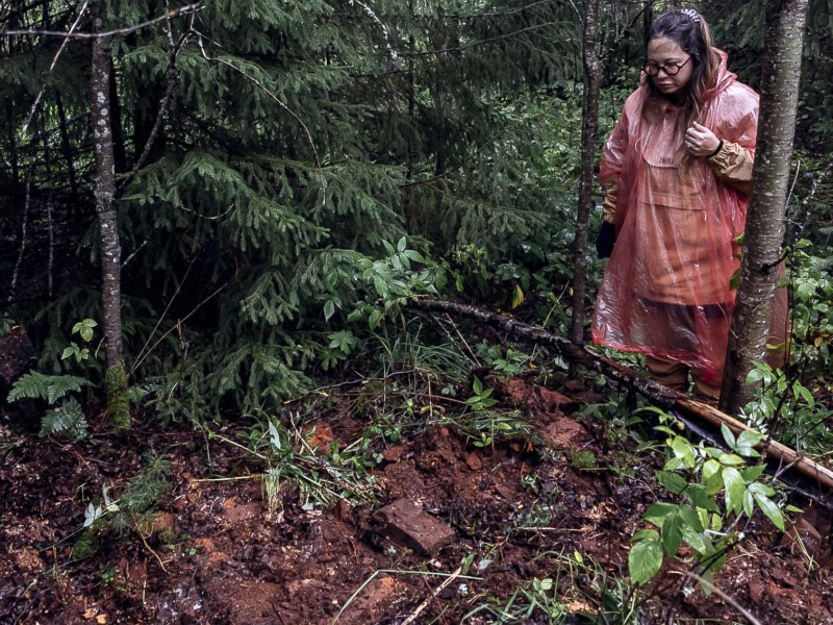 На таёжной колее Севера