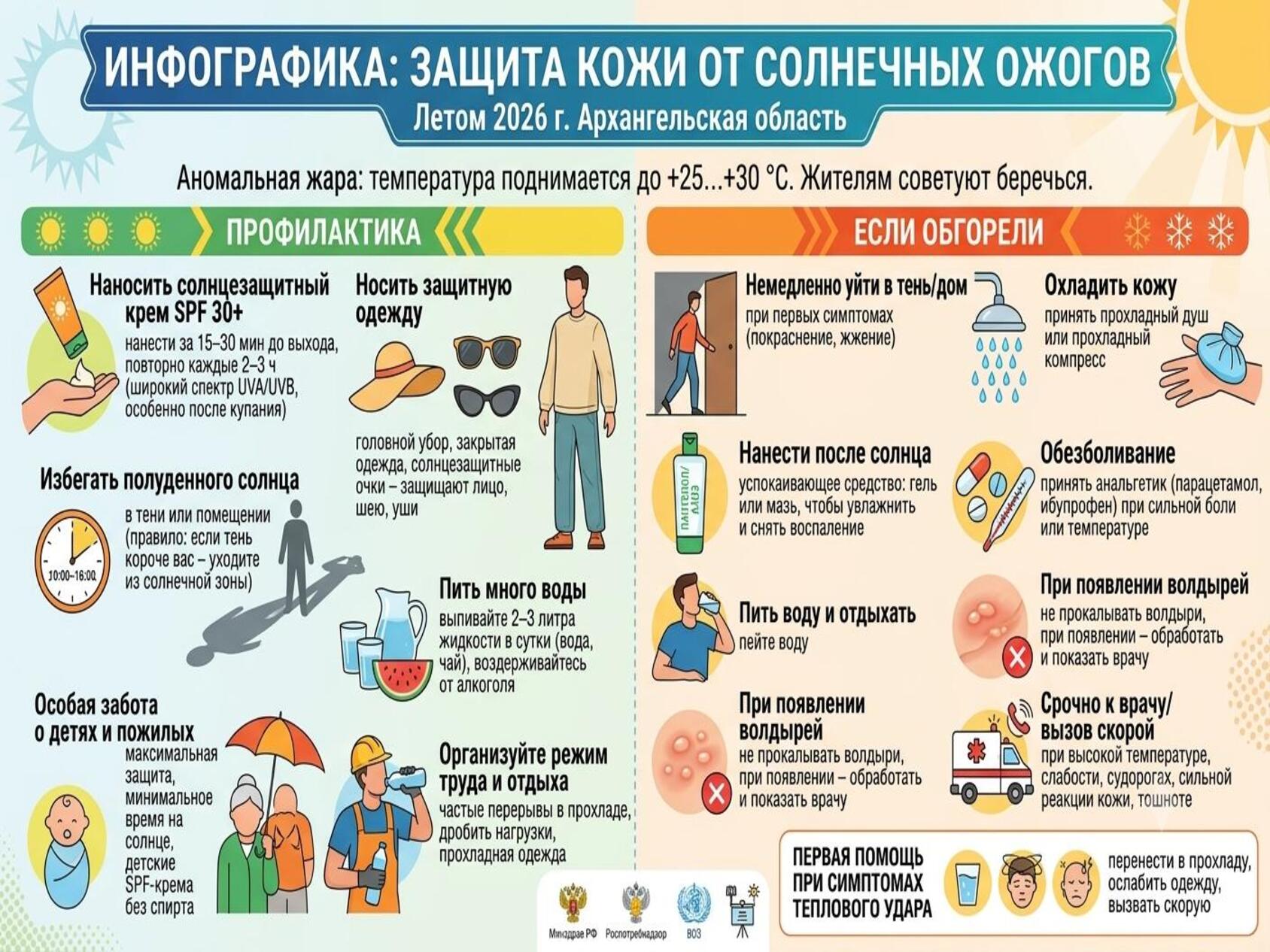 Инфографика: Регион 29